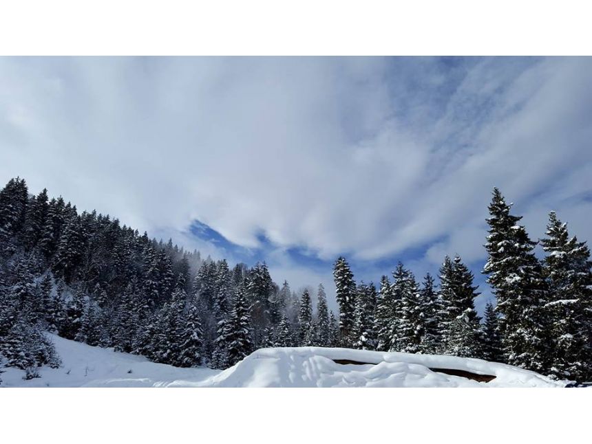 ბაკურიანი თებერვალს კვირას