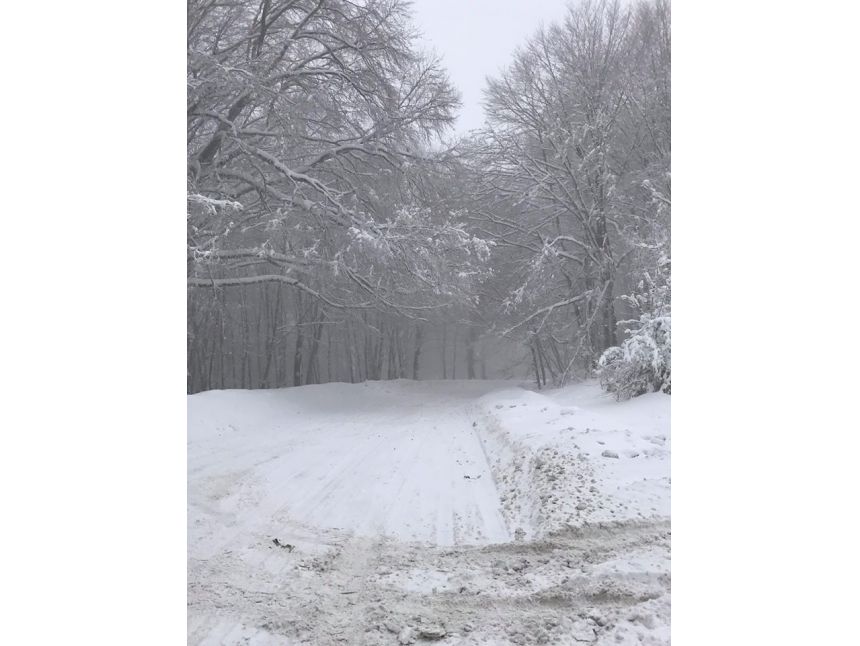 თებერვალს საბადურის ტყე + სიონის წყალსაცავი