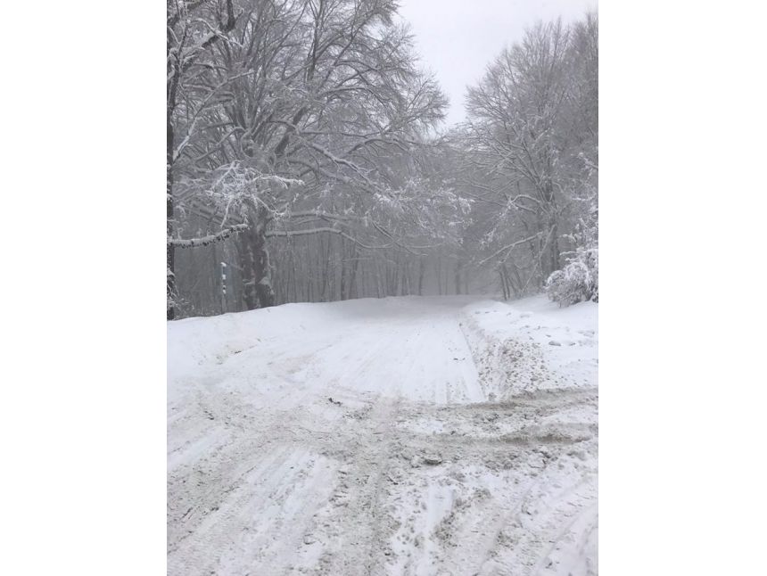 თებერვალს საბადურის ტყე + სიონის წყალსაცავი