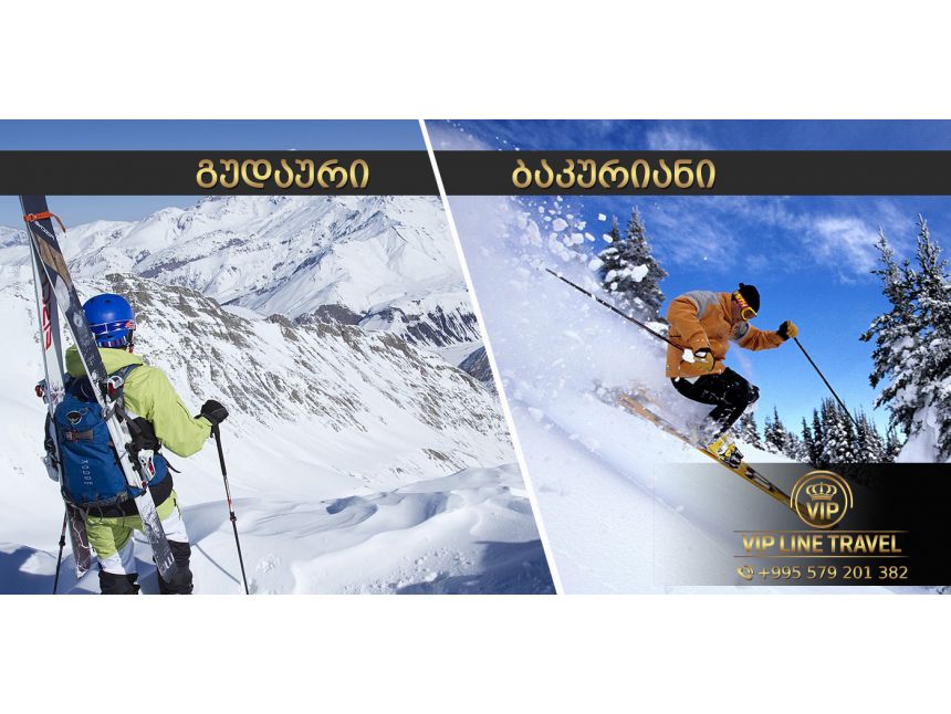 თებერვალს გუდაურის და ბაკურიანის ტურები