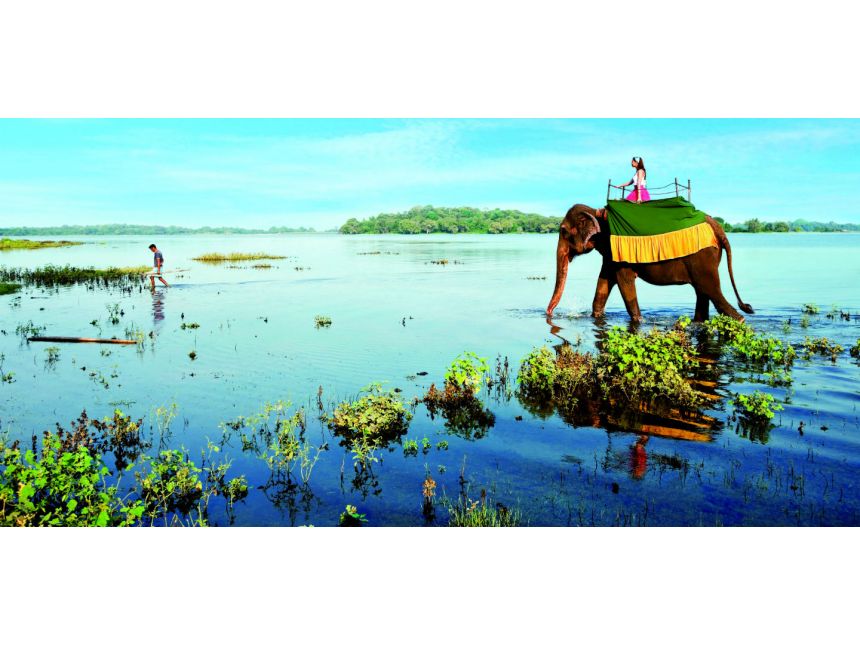 შრი ლანკა იმოგზაურეთ ეგზოტიკურ სამყაროში