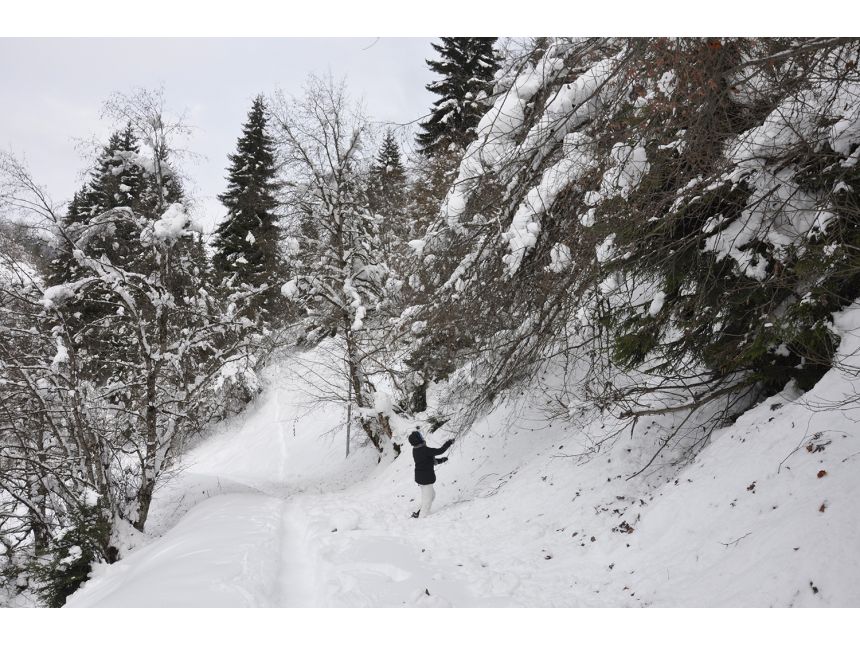 ლამპრობა სვანეთში იჩქარეთ დარჩა რამოდენიმე ადგილი