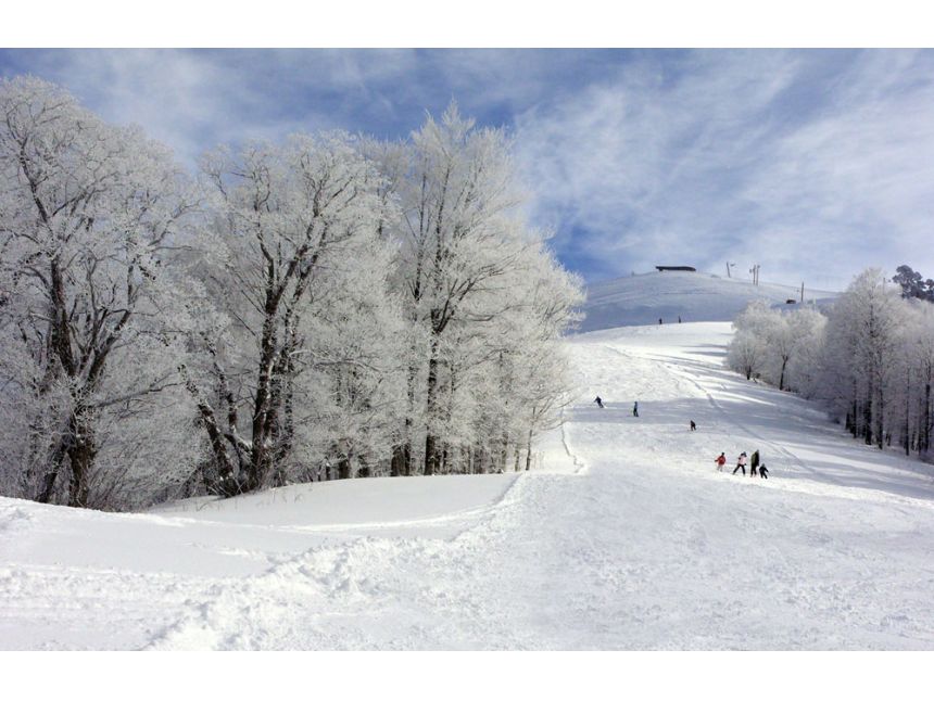 ბორჯომი-ბაკურიანის VIP ტური . გასვლა-.,. დარჩენილია  ადგილი