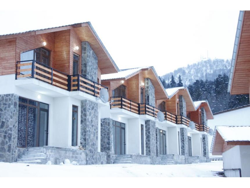 წამოდი ბაკურიანში დღით . ტრანსპორტირება, სასტუმრო, სამჯერადი კვება