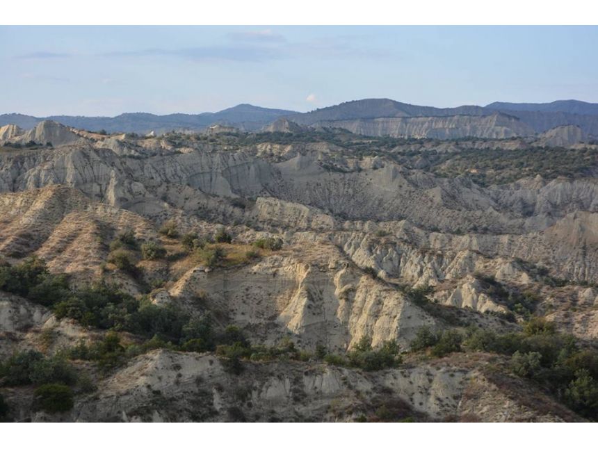 ტური ვაშლოვანის ნაკრძალში - თებერვალი, კვირა.