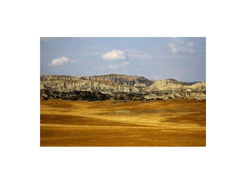 ტური ვაშლოვანის ნაკრძალში - თებერვალი, კვირა.