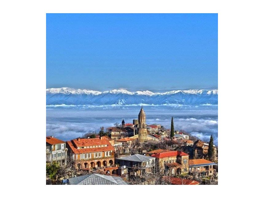 ტური ვაშლოვანის ნაკრძალში -  თებერვალი, კვირა.