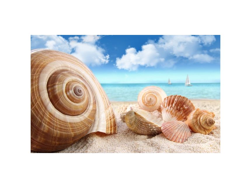 დააღწიეთ თავი ცივ ზამთარს  და დაისვენეთ წითელი ზღვის სანაპიროზე 