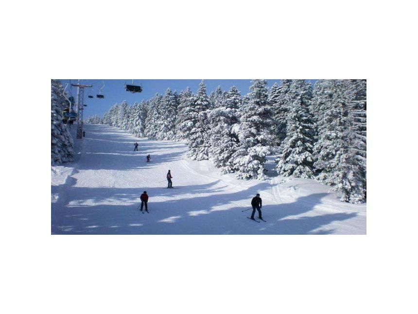 ერთ დღიანი ტური ბაკურიანში