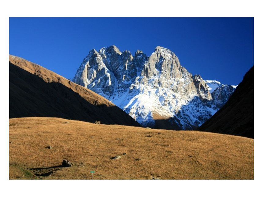 თებერვალს დღიანი ტური ჯუთაში დარჩა მხოლოდ ადგილი