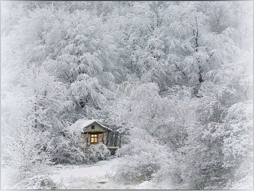 დღიანი ტური გუდაურში