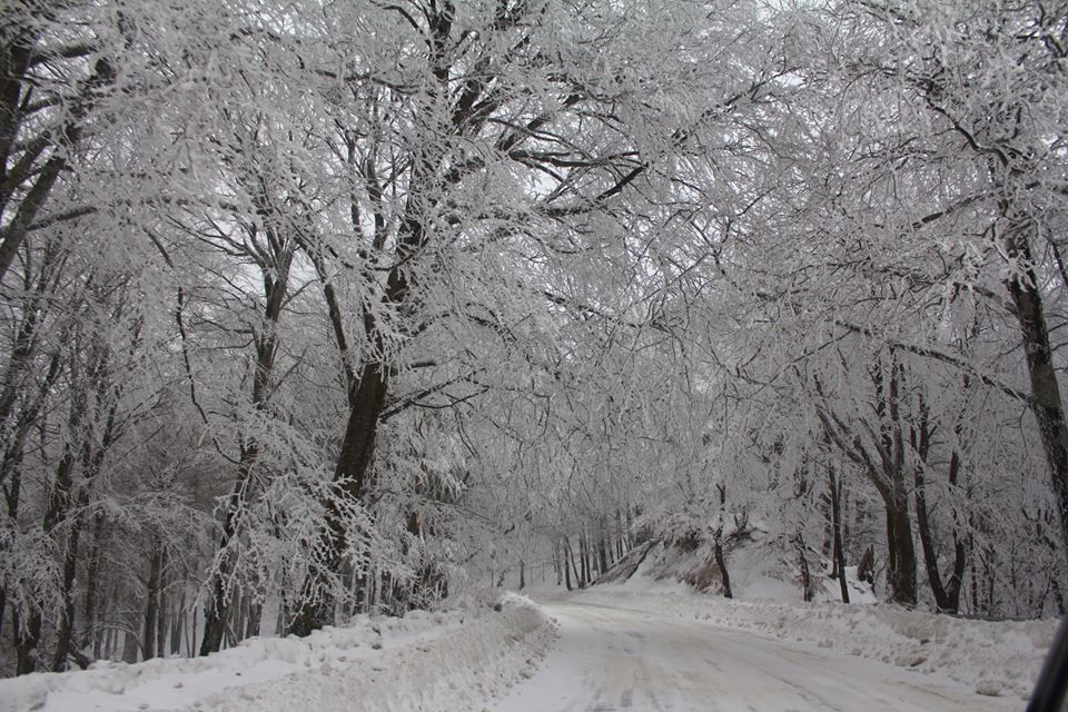 Однодневный тур в Гудаури , Бакуриани