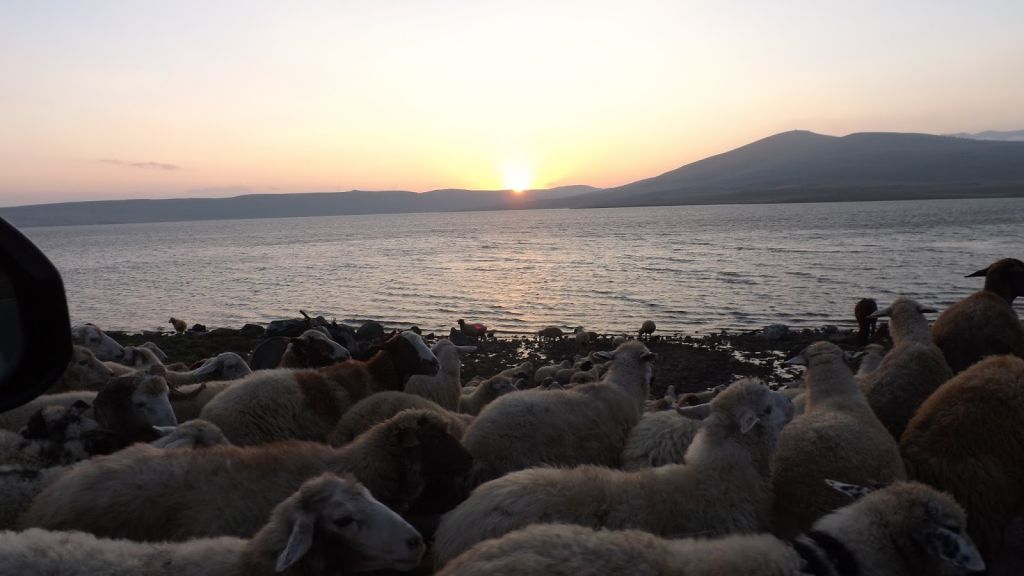 თებერვალს - ფარავნის ტბა, საღამოს ტბა ,თმოგვის ციხე ,ვანის ქვაბები