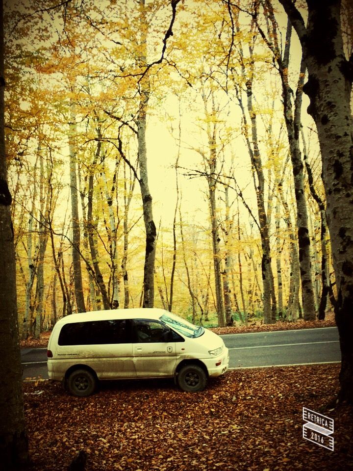 გუდაური