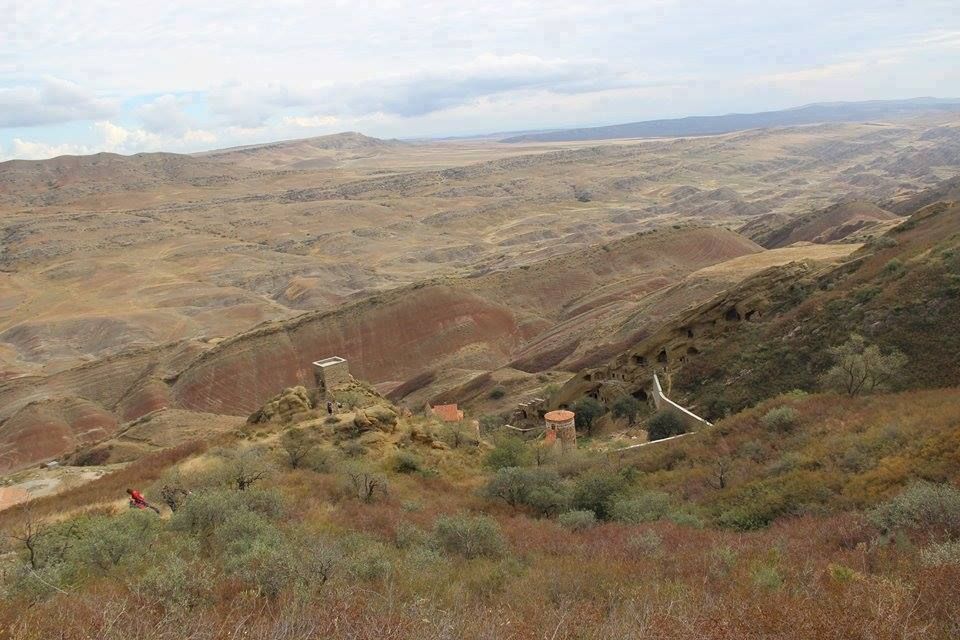 დავით გარეჯი