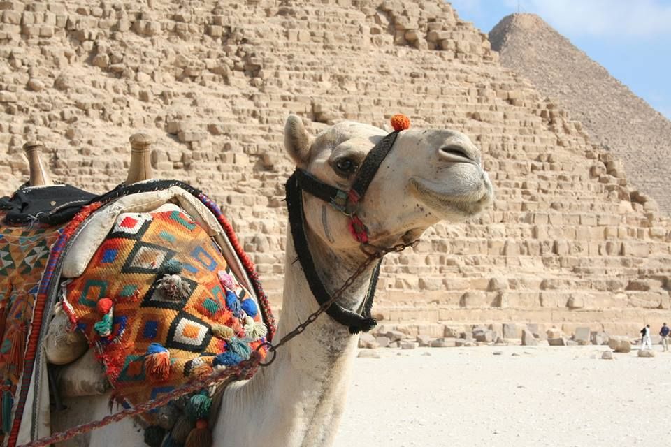 მაროკო  ევრო