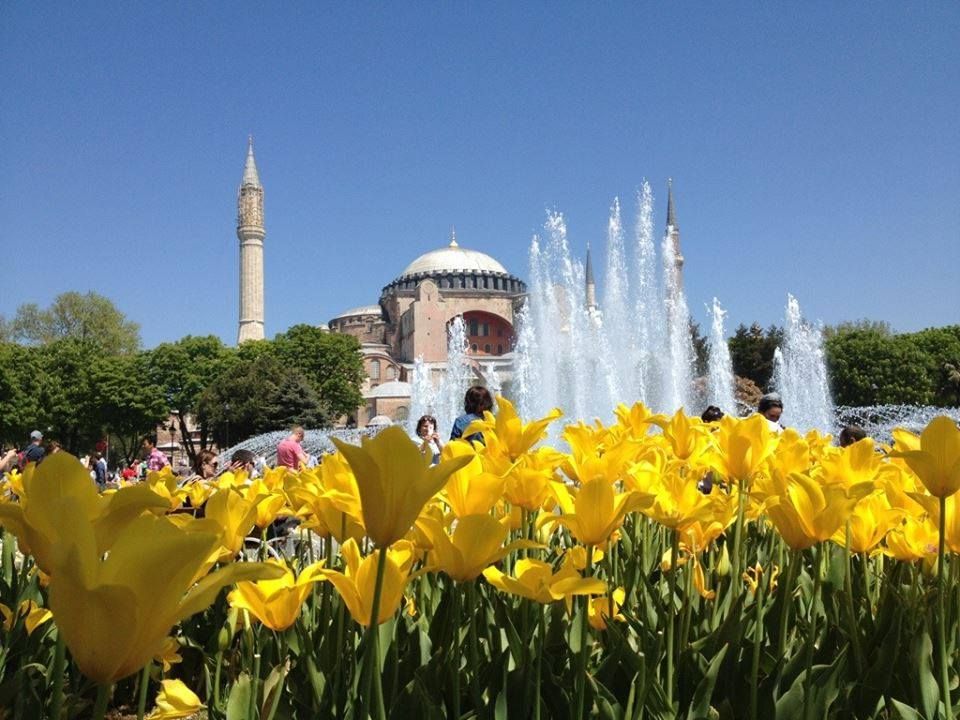 სტამბული - ტიტების ფესტივალი