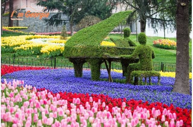 სტამბული - ტიტების ფესტივალი