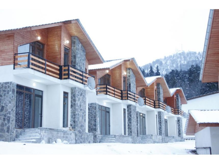 დღე ბაკურიანში. სასტუმროში განთავსება, თხილამურები უფასოდ, სამჯერადი კვება ტრანსპორტირება.