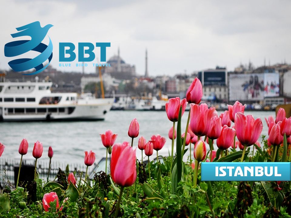 ტიტების ფესტივალი სტამბოლში