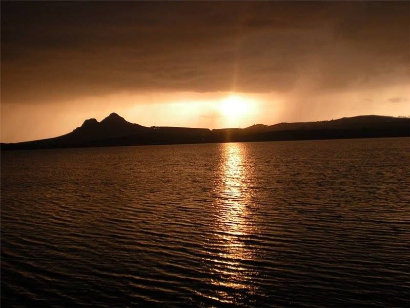 გაზაფხული ვაშლოვანში