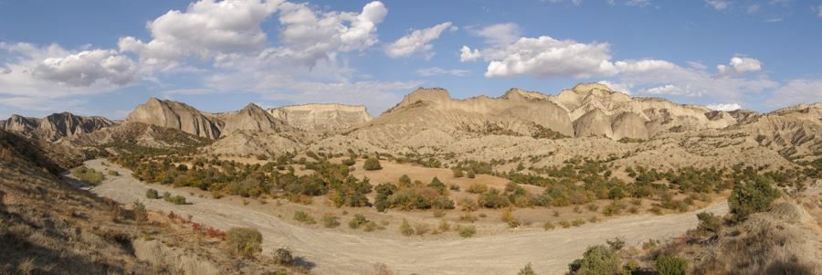 გაზაფხული ვაშლოვანში
