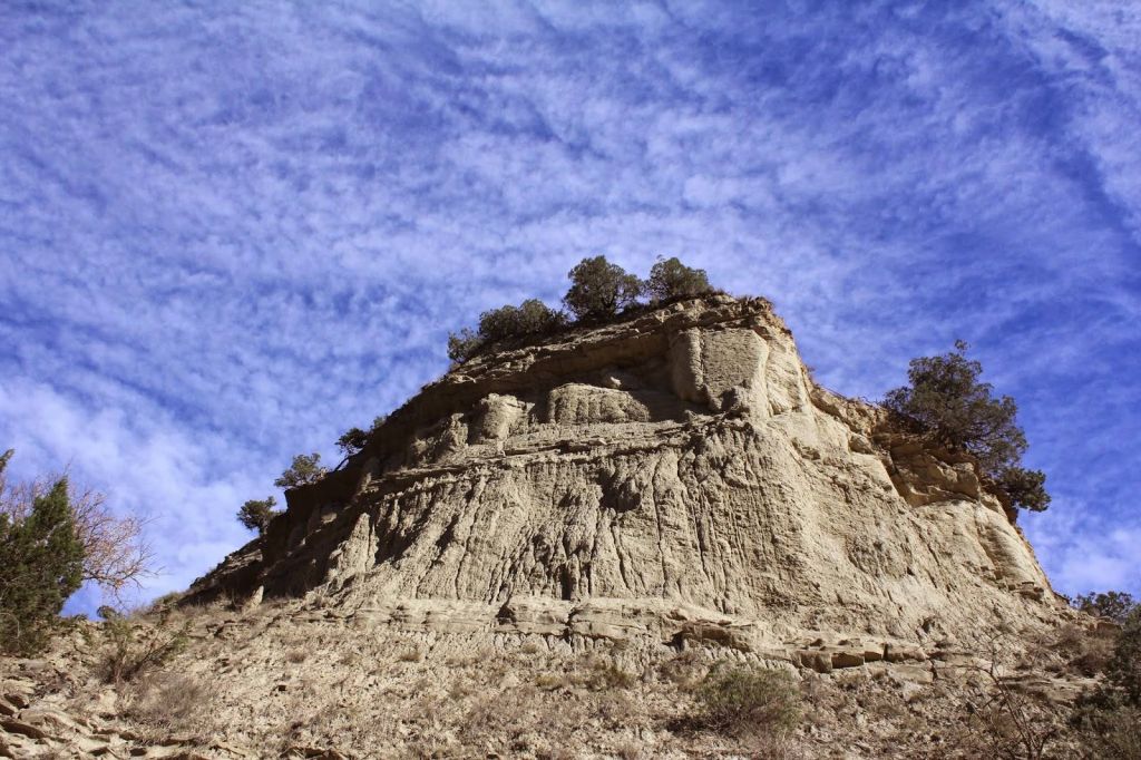 გაზაფხული ვაშლოვანში