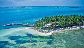 მალდივები .ადამიანი. ღამე-დღე.