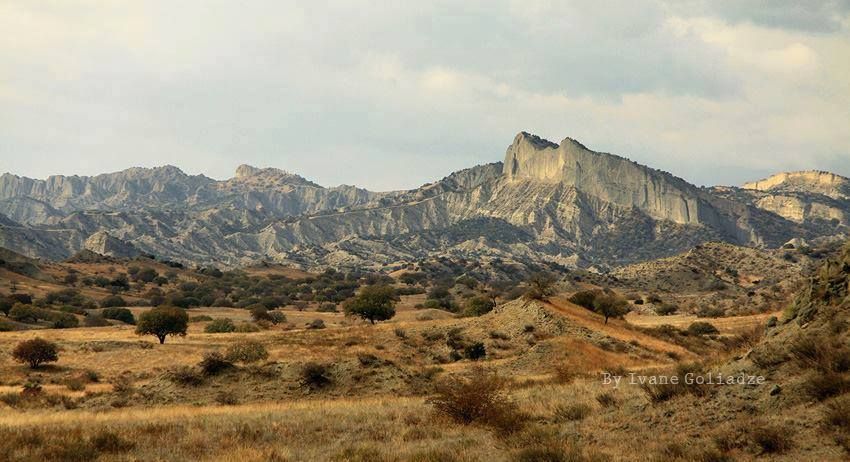 ვაშლოვანის დაცული ტერიტორიები