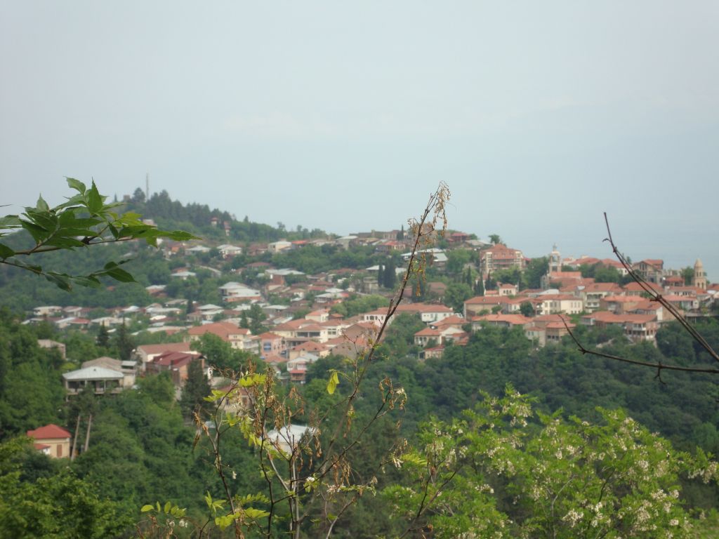 ტური კახეთში (თელავი,შუამთა,ალავერდი,იყალთო წინანალი, გრემი, ბოდბე, სიღნაღი)