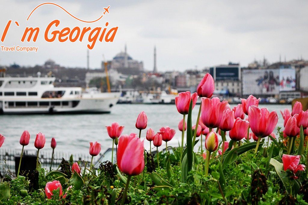 ტიტების ფესტივალი სტამბულში