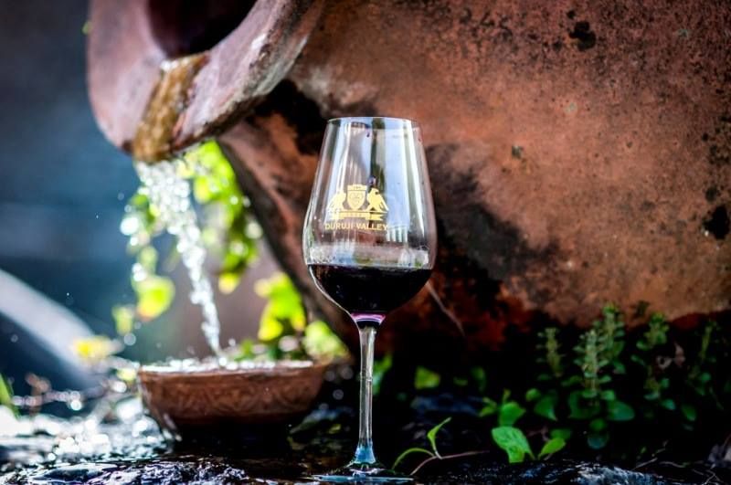 დღიანი ტური კახეთში - მარტი, კვირა.