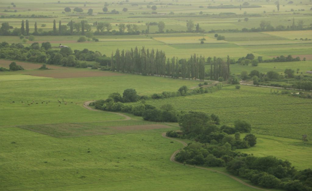 ბოდბე სიღნაღი გრემი ნეკრესი ალავერდი ახ შუამთა ძვ შუამთა