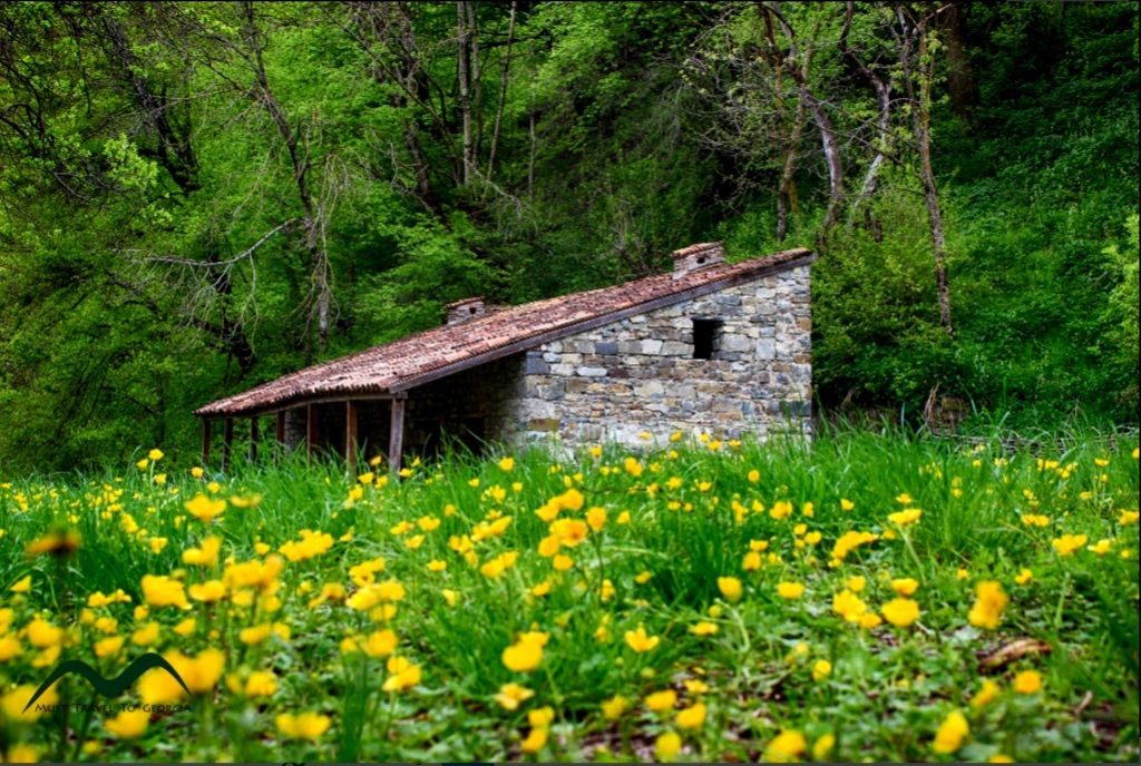 ჩაძირული ტაძრის, ლაშარის და სრული ფშავის ტური ! სულ !