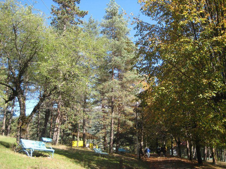 დაუვიწყარი ტური ბორჯომში!!!