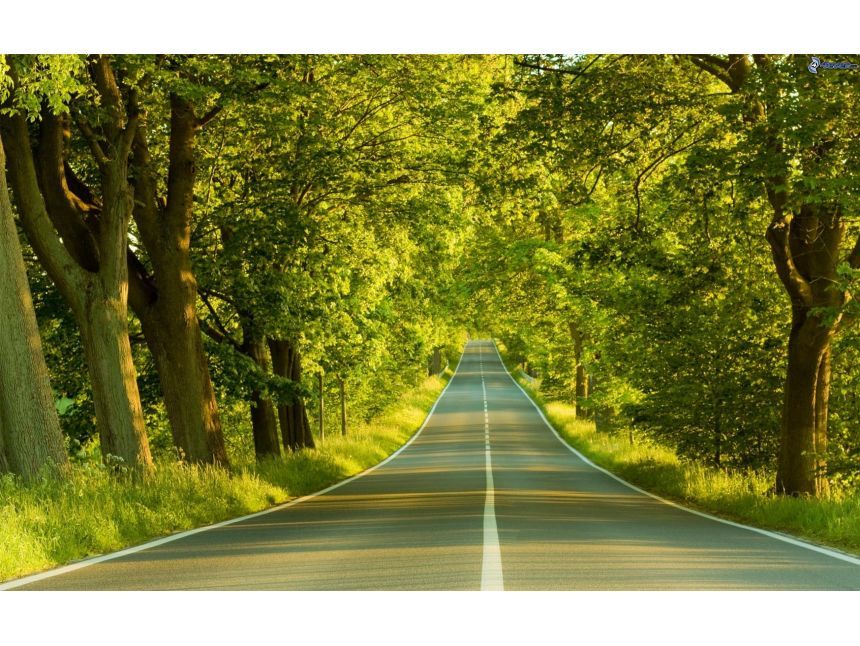 კორპორატიული ტურები