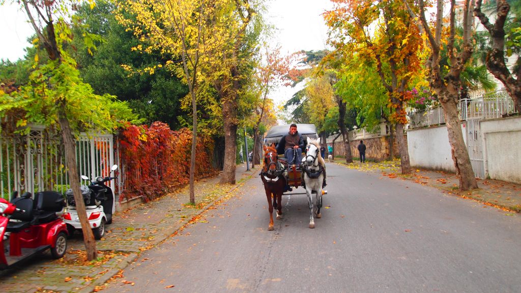 სტამბულის განსხვავებული ტური ტიტების ფესტივალზე!