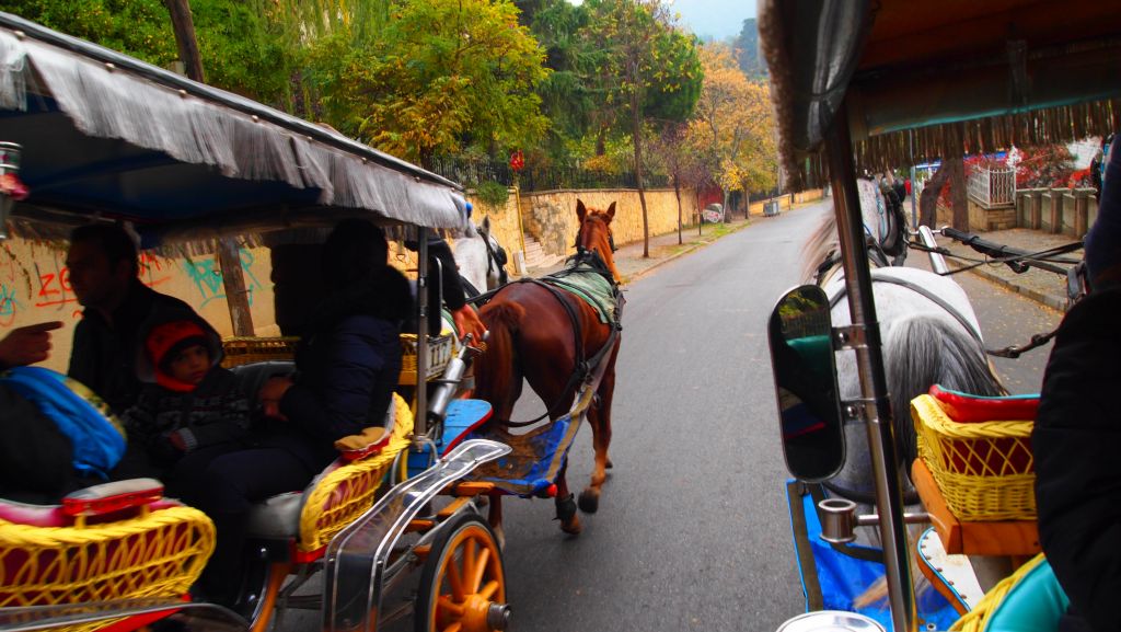 სტამბულის განსხვავებული ტური ტიტების ფესტივალზე!