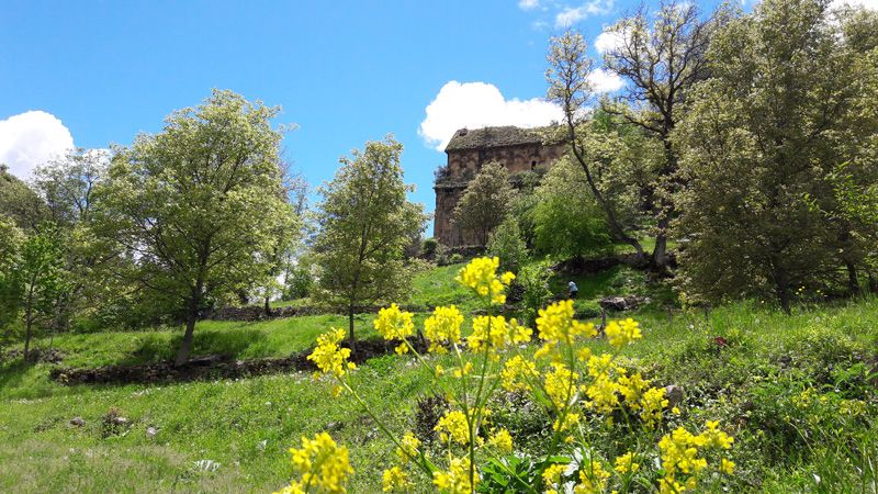 აღდგომა ტაო-კლარჯეთში !