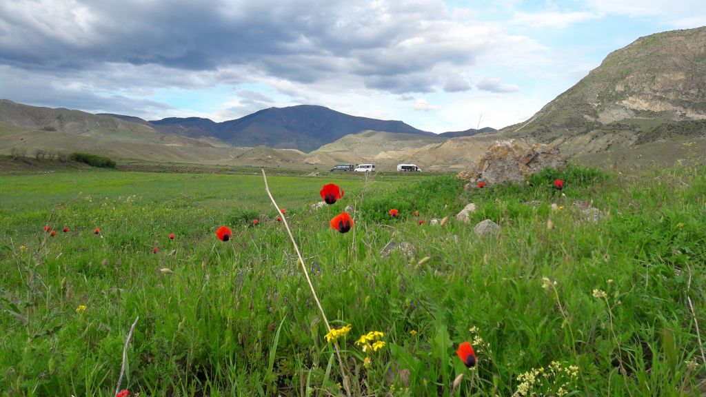 აღდგომა ტაო-კლარჯეთში !