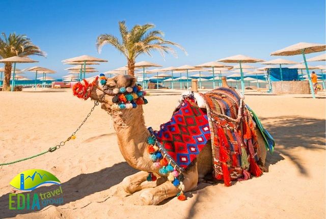 ყველაზე იაფად დასვენება ეგვიპტეში  $-ად