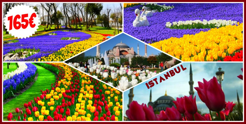 < ტიტების ფესტივალი სტამბულში < ტურის ღირებულება -დან