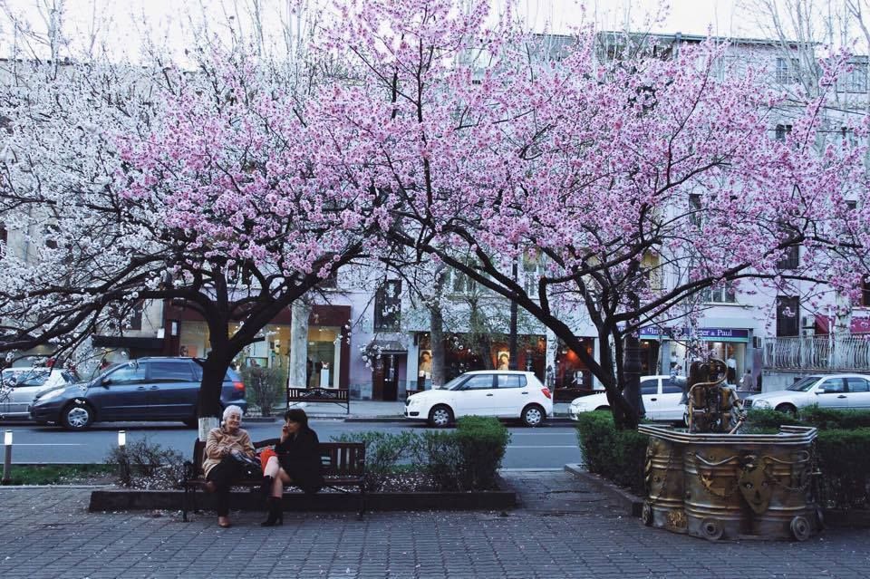 ტური ☛ სომხეთში - აპრილს