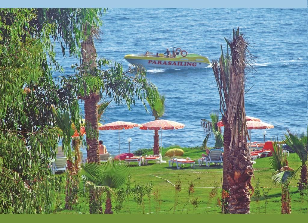 თურქეთი სრული პაკეტი ნაადრევი ჯავშნები