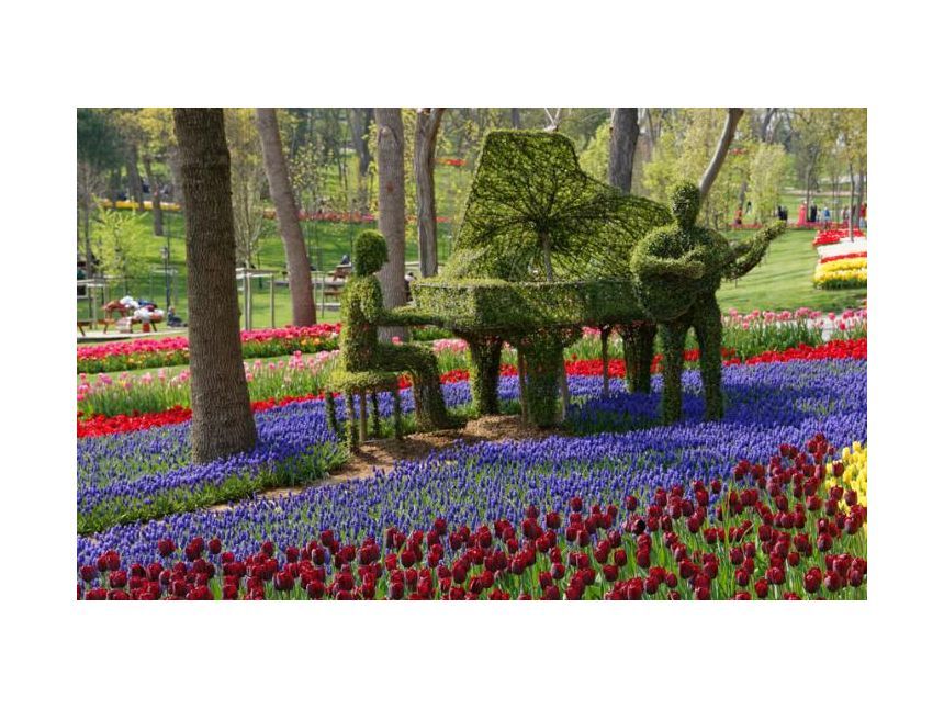 სტამბულიში ტიტების ფესტევალზე -. ადამიანი. დღე.