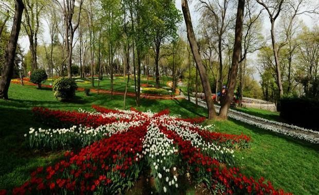 სტამბულიში ტიტების ფესტევალზე -. ადამიანი. დღე.