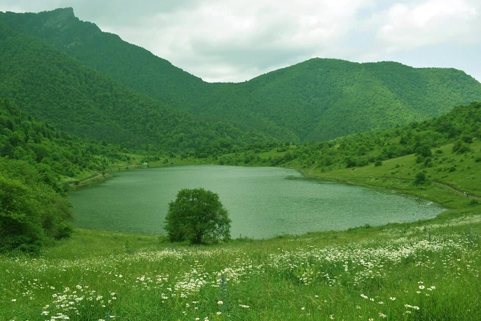 დღიანი ტური კოდიწყაროს ტბაზე -  აპრილი, შაბათი.