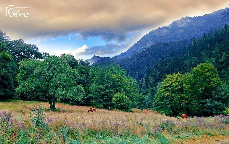 დღიანი ტური კოდიწყაროს ტბაზე - აპრილი, შაბათი.