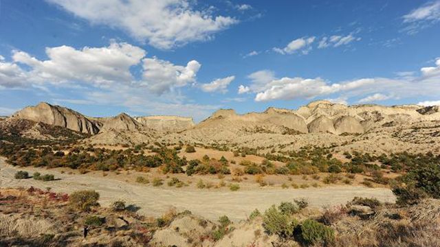 ვაშლოვანის ნაკრძალი აპრილს