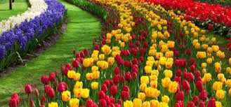 სტამბულიში ტიტების ფესტევალზე -. ადამიანი. დღე.